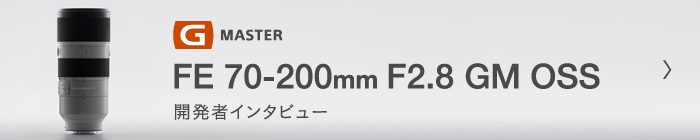 G MASTER FE 70-200mm F2.8 GM OSS (SEL70200GM) J҃C^r[