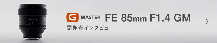 G MASTER FE 85mm F1.4 GM (SEL85F14GM) J҃C^r[