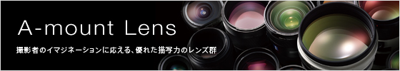 A-mount Lens Be҂̃C}Wl[VɉADꂽ`ʗ͂̃YQ