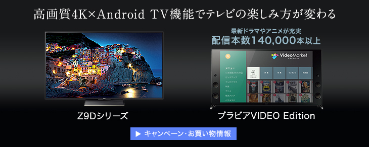 掿4K~Android TV@\Ńer̊yݕς Ly[E