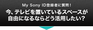 My Sony IDo^҂ɎIAeruĂXy[XRɂȂȂǂpH