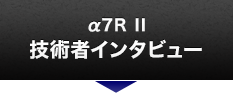 7R II Zp҃C^r[