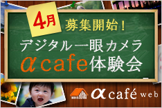 4WJnI fW^J cafě cafe web