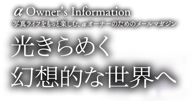  Owner's Information ߂zIȐE