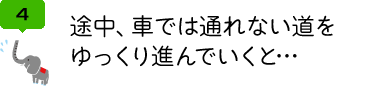 途中、車では通れない道を ゆっくり進んでいくと…