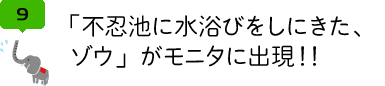 「不忍池に水浴びをしにきた、 ゾウ」がモニタに出現!!