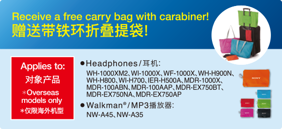 Receive a free Carrying case!