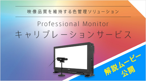 Professional Monitor Lu[VT[rX [r[J