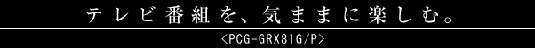 erԑgAC܂܂ɊyށBPCG-GRX81G/P