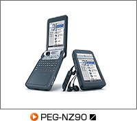 PEG-NZ90