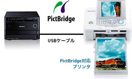 PictBridge(USBP[u)--PictBridgeΉv^
