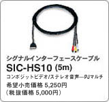 SIC-HS10