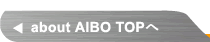 about AIBO TOP