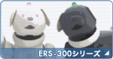 ERS-300V[Y