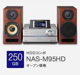 250GB HDDR| NAS-M95HD I[vi