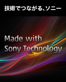 �Z�p�łȂ���A�\�j�[