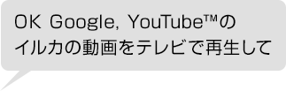 OK Google, YouTube?̃CJ̓erōĐ