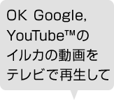 OK Google, YouTube?̃CJ̓erōĐ