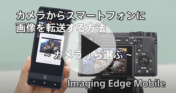 JX}[gtHɉ摜]@@JI Imaging Edge Mobile