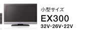 EX300