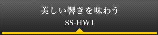 𖡂키 SS-HW1