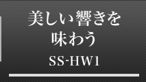 𖡂키 SS-HW1