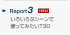 Report3 낢ȃV[ŎgĂ݂T30