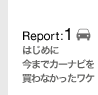 Report:1