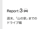 Report:3