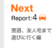 Report:4