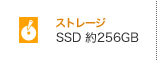 Xg[W SSD 256GB