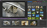 Adobe Premiere Elements 7 + VAIO Edit Components