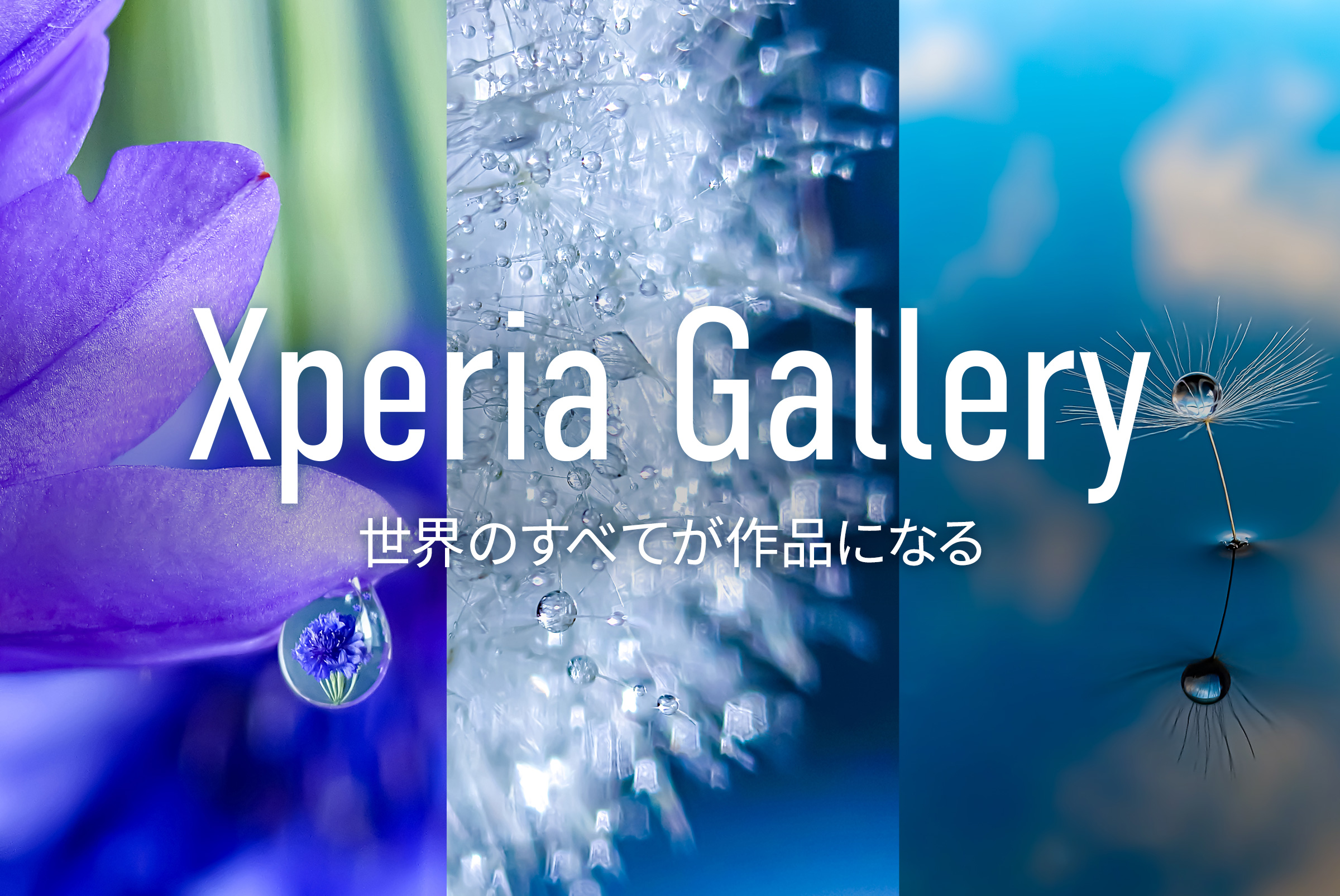 Xperia Gallery 世界のすべてが作品になる