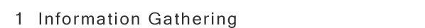 1  Information Gathering