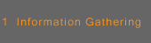 1  Information Gathering