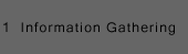 1  Information Gathering