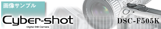 Cyber_shot_title