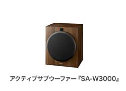 ANeBuTuE[t@[wSA-W3000x