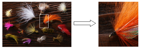 ̖т1{1{A₩Ȕ̕`ʂȂǁA\Y̎őɐƂł܂B