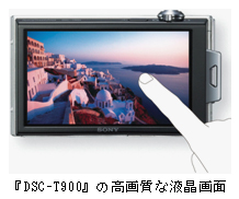 wDSC-T900x̍掿ȉt