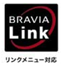 BRAVIA Link
