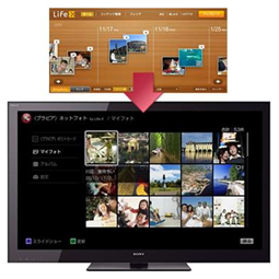 C^[lbgŊǗʐ^qurAryɉ{