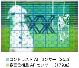 RgXgAFZT[i25_jAʈʑAFZT[i179_j