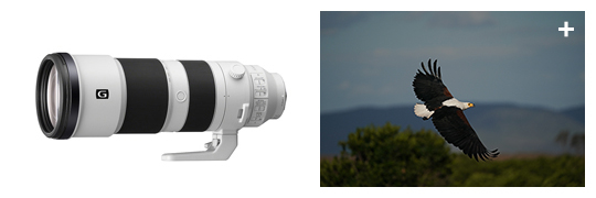 超望遠ズームレンズ Gレンズ『FE 200-600mm F5.6-6.3 G OSS』