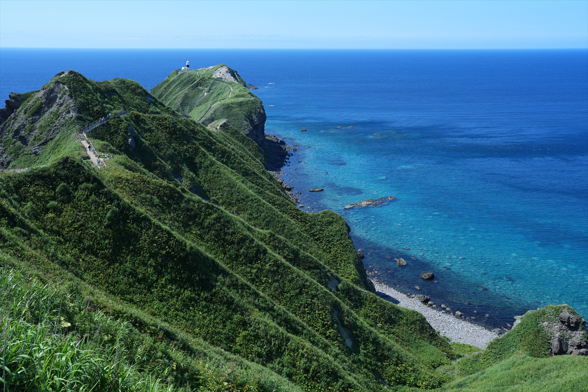 L6100fC[WZT[ƍŐV̉摜VXeɂNXō5̉𑜐\