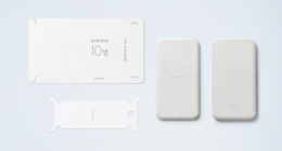 ���z���ւ̎��g��