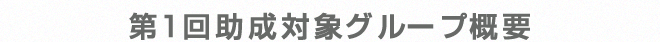 第1回助成対象グループ概要