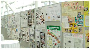 ��6��񍐉�ʐ^1