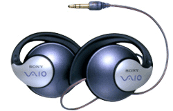 �o�C�I���S����w�b�h�z��