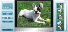 Smart Capture Premium